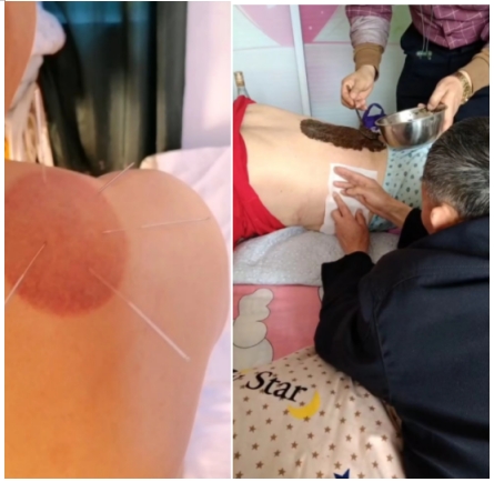 韩秀能：传承中医薪火，耕耘健康沃土