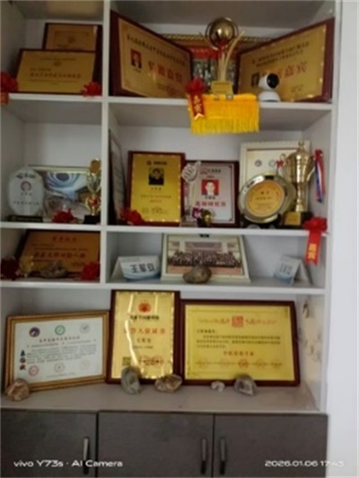 模糊医学创始人王军安