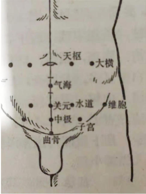 聚焦两会·中医药传承创新：韩礼医师以经方智慧守护人民健康