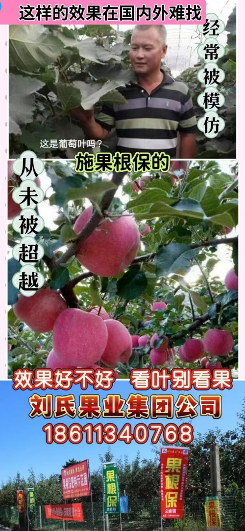 金马迎春·大国农匠：刘福信——以科技为犁守护土壤，用初心赋能乡村振兴