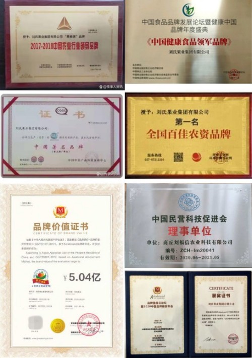 金马迎春·大国农匠：刘福信——以科技为犁守护土壤，用初心赋能乡村振兴