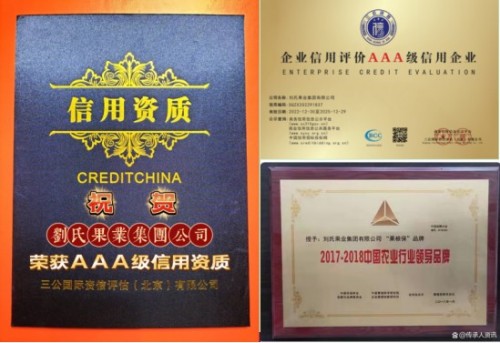 金马迎春·大国农匠：刘福信——以科技为犁守护土壤，用初心赋能乡村振兴