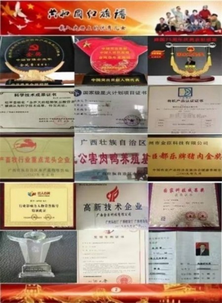 聚焦两会·企业力量｜金臣科技：解锁“科技+生态+健康”协同发展新密码